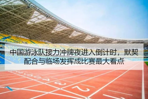 中国游泳队接力冲牌夜进入倒计时，默契配合与临场发挥成比赛最大看点